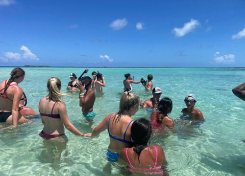 Bimini golf cart rentals